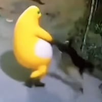 Nailong
