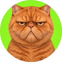 Grumpy Cat