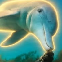 GAMBARA logo