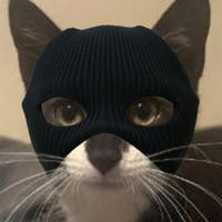 catwifmask