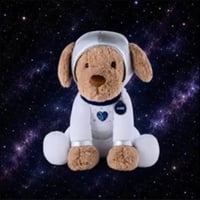Space Puppy