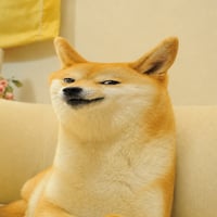 Meepdoge