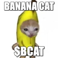 banana cat