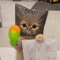 ROBBERCAT logo