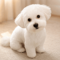 Uniswap Dog