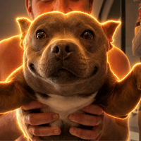 just a happy dog