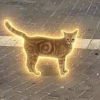 S◎L Cat