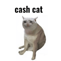 ROBINHOOD ORIGINAL NAME logo