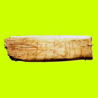 CAVEHORSE logo