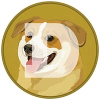 Dogecoin