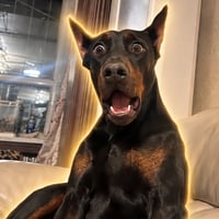 DOBERMAN logo