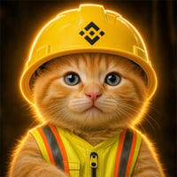 BNB Builder Cat
