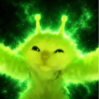 area51kitty