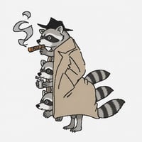 RACCOONMAN