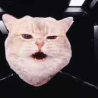 Commander Vrax
