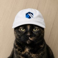 Arbitrum Cat