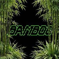 Bamboo Coin