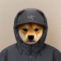ARCDOG logo