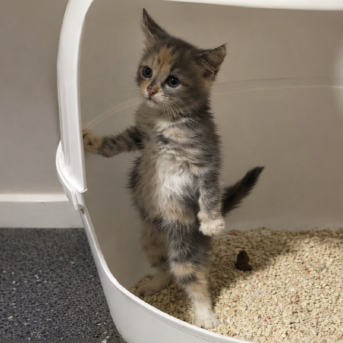 AXzWFfga3rsSyAQBXEFgddXAP75fpNHXTDtnvjxgpump