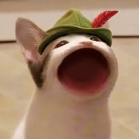 POPCATWIFHOOD