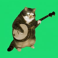 Banjo Cat