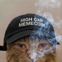 HIGH CAP MEMECOIN