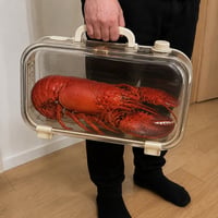 lobster in bag logo