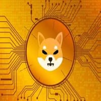 Shiba Inu