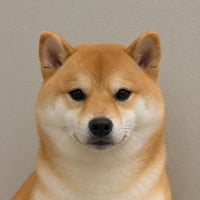 Shiba Inu logo