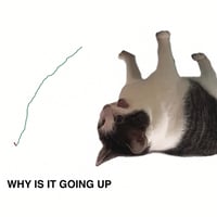 UpSideDownCat logo