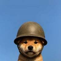wardog