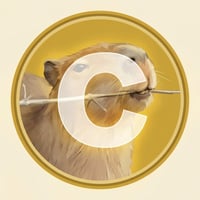 CAPE logo