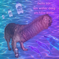wöter dœg