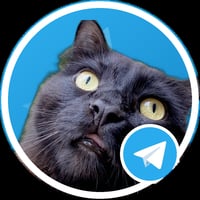 Merlin the Cat