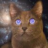 Ethereum Cat logo