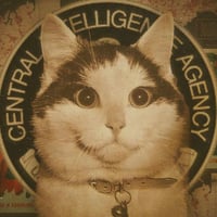 CIACAT