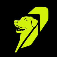 Robinhood Dog