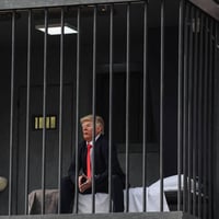 Trump In Box