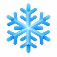 SNOWFLAKE