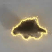 The Oklahoma Porcupine