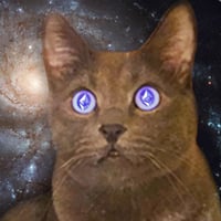 Ethereum Cat
