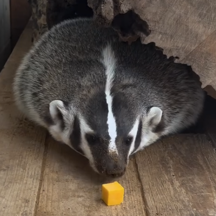 7BAPfAV6EBbh3NGScjhau6199q5sgnwcY2T5KwUdpump