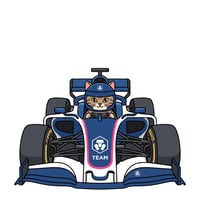 RACECAT