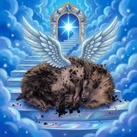 Hedgy the Hedgehog