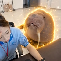 Oscar the Walrus