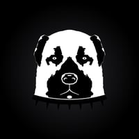 Bitsan logo