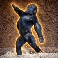 Mobi The Gorilla