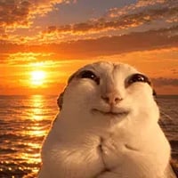 sunsetcat