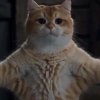 CATSLOP logo