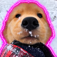 purr logo